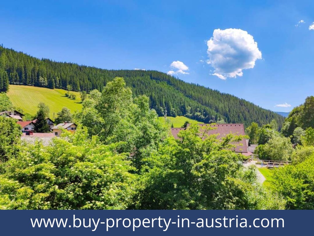buy-property-in-austria-altenberg-8691-20251204054741-0050401010.jpg