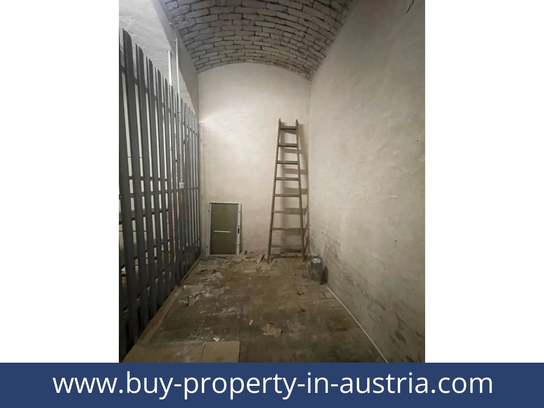 buy-property-in-austria-becs-1010-20260704233915-0084901023.jpg