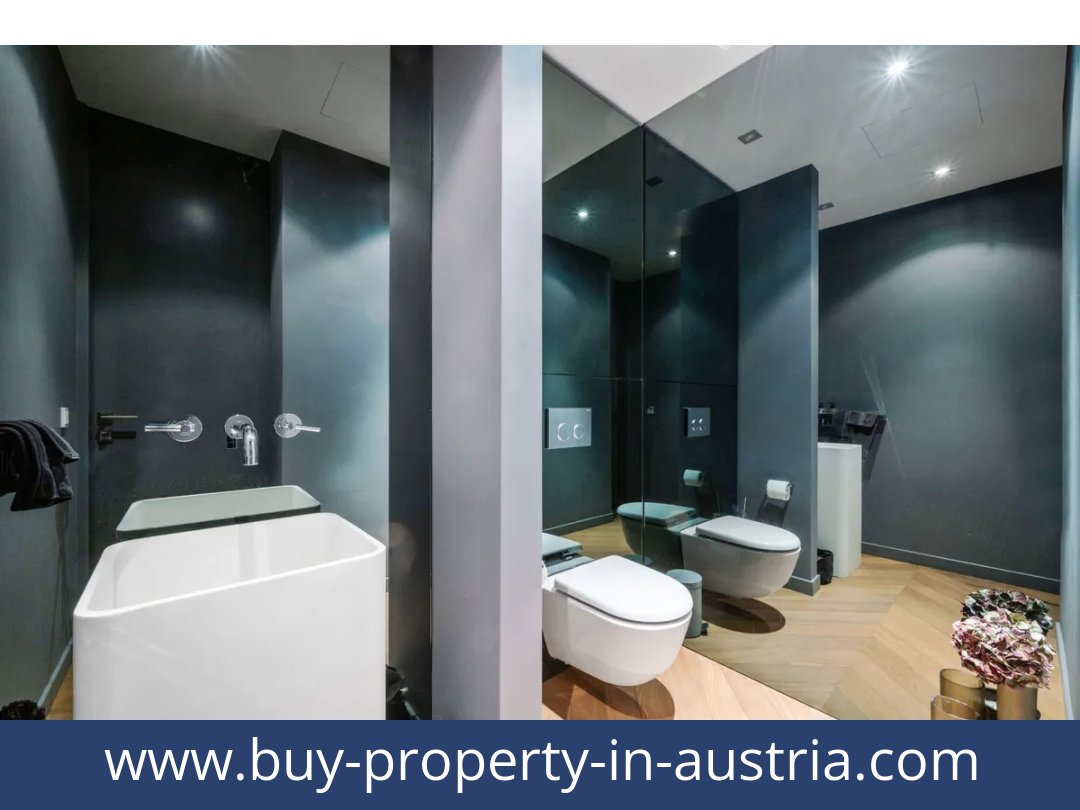 buy-property-in-austria-becs-1010-20260912011334-0100001007.jpg
