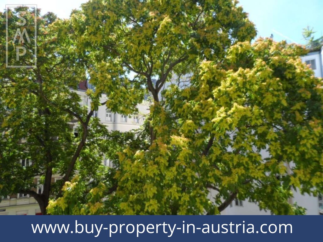 buy-property-in-austria-becs-1020-20251213234728-0053801012.jpg