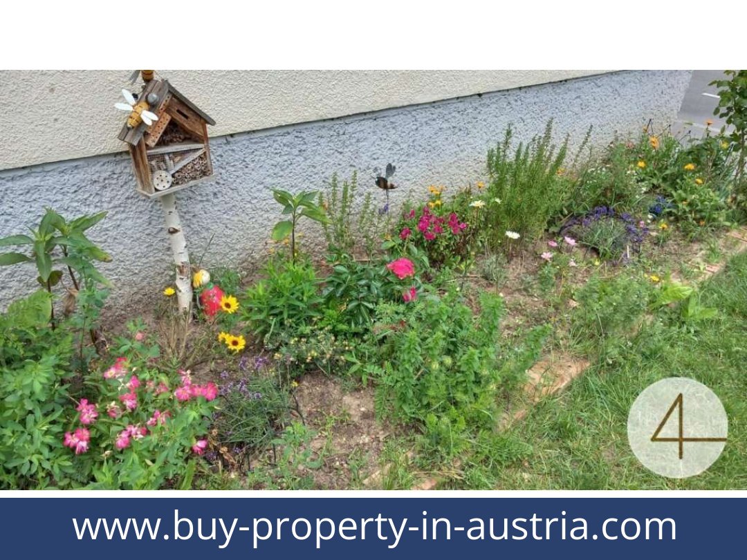 buy-property-in-austria-becs-1100-20250912054723-0012101012.jpg