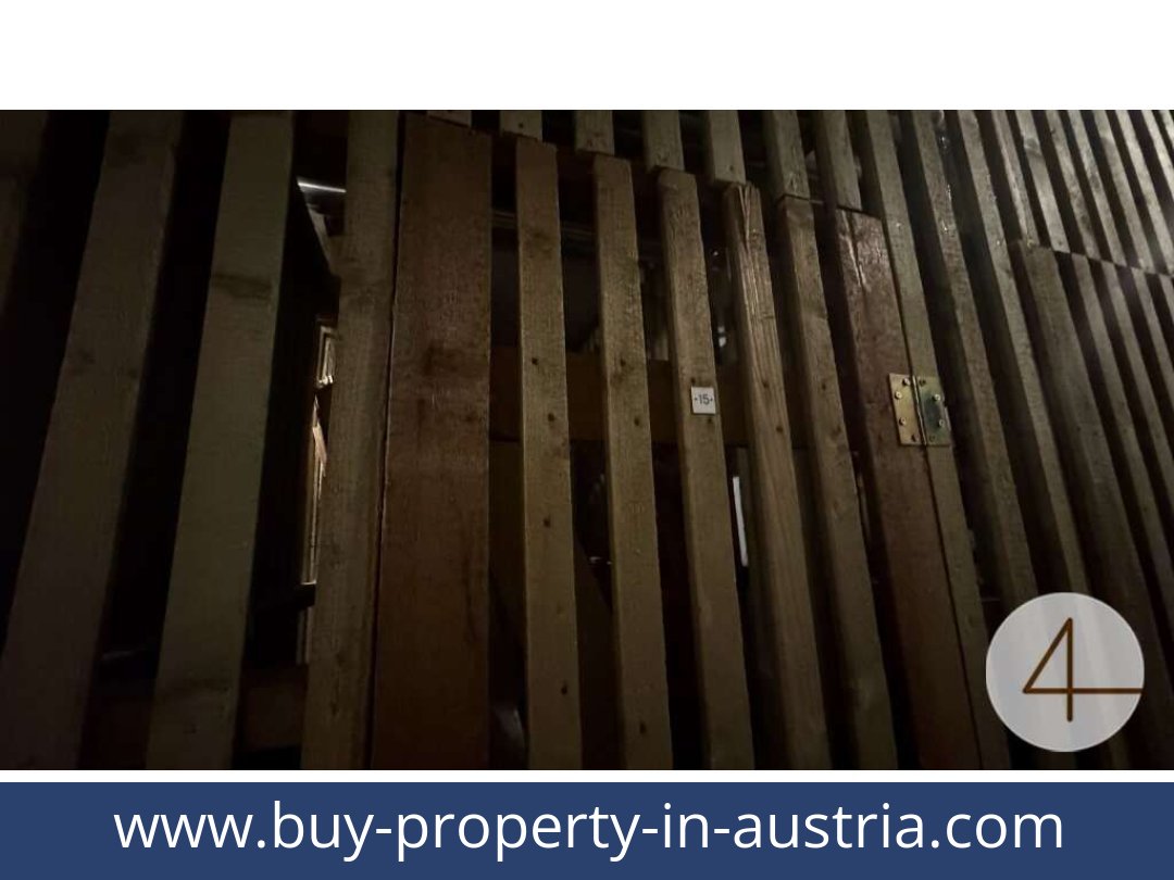 buy-property-in-austria-becs-1190-20260324191750-0077301024.jpg