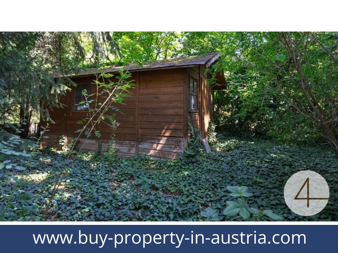 buy-property-in-austria-becs-1230-20251209174811-0052701006.jpg