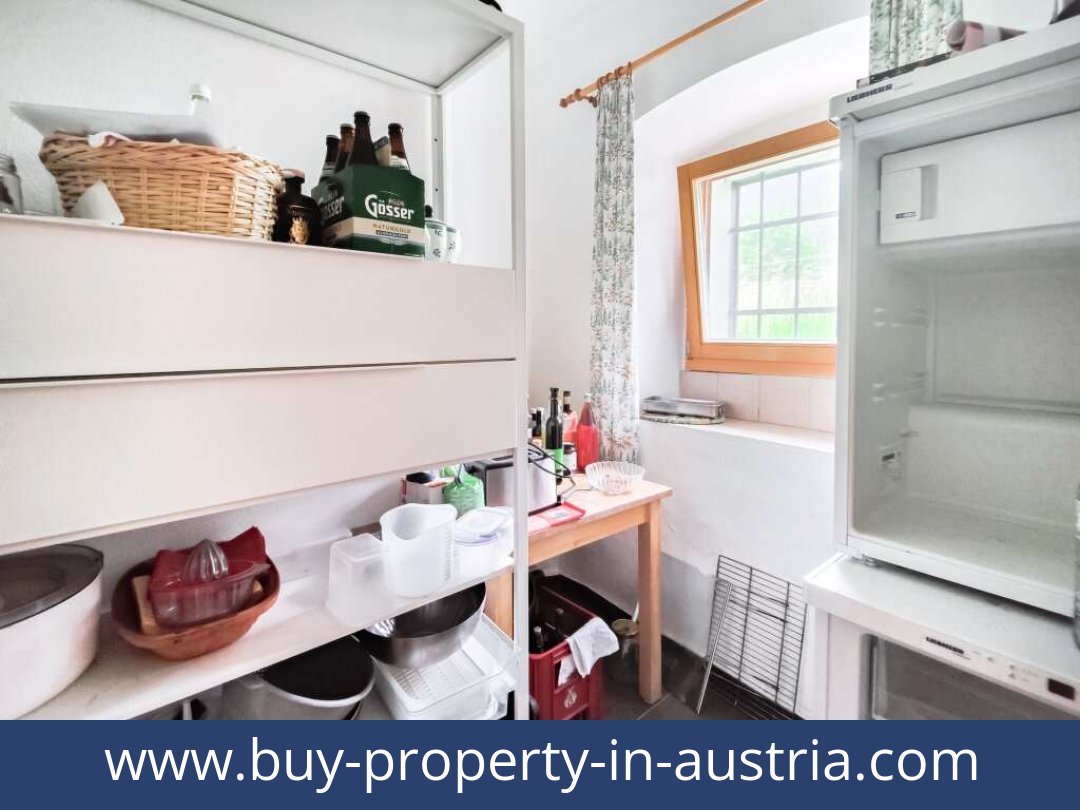 buy-property-in-austria-dellach-9635-20250916084808-0020701008.jpg