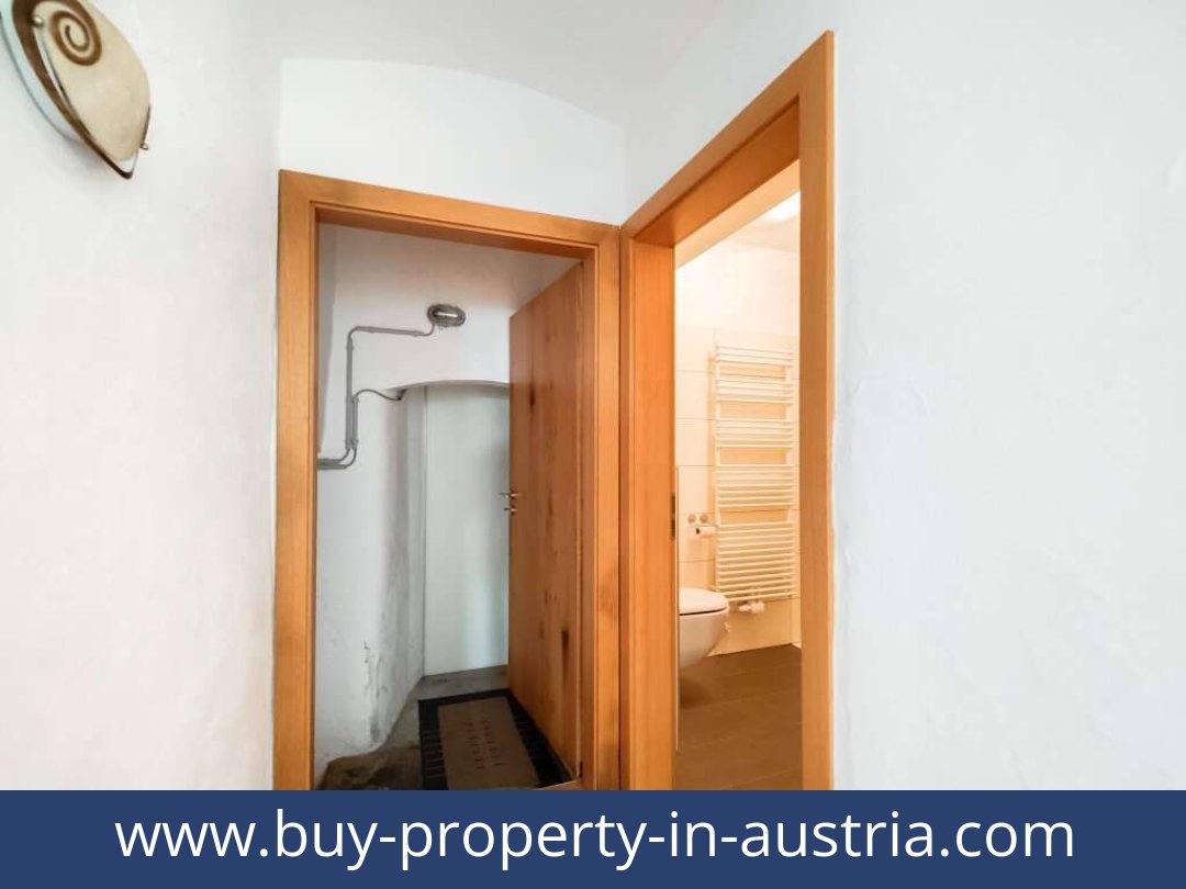 buy-property-in-austria-dellach-9635-20250916084808-0020701010.jpg