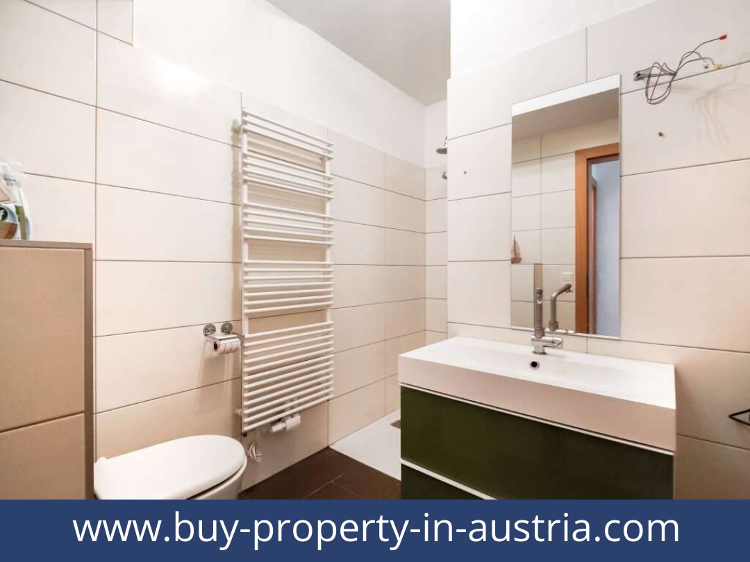 buy-property-in-austria-dellach-9635-20250916084808-0020701011.jpg