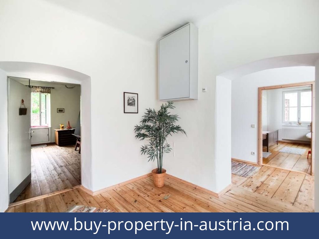 buy-property-in-austria-dellach-9635-20250916084808-0020701014.jpg