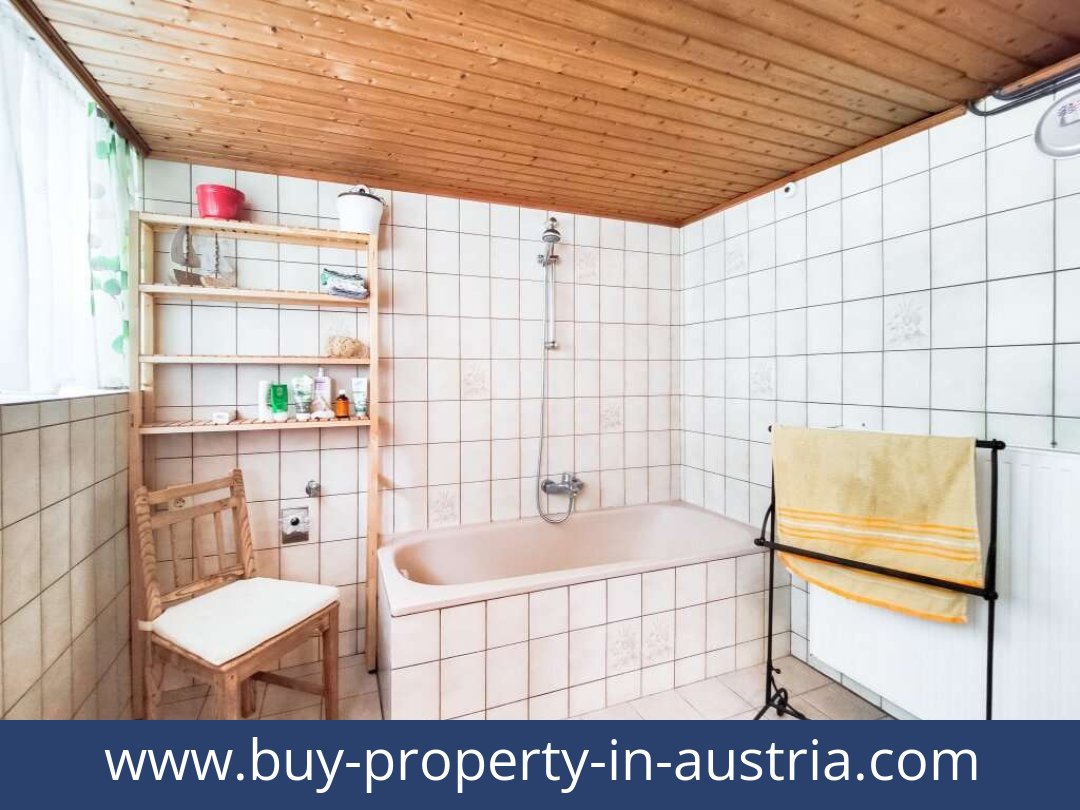 buy-property-in-austria-dellach-9635-20250916084808-0020701019.jpg