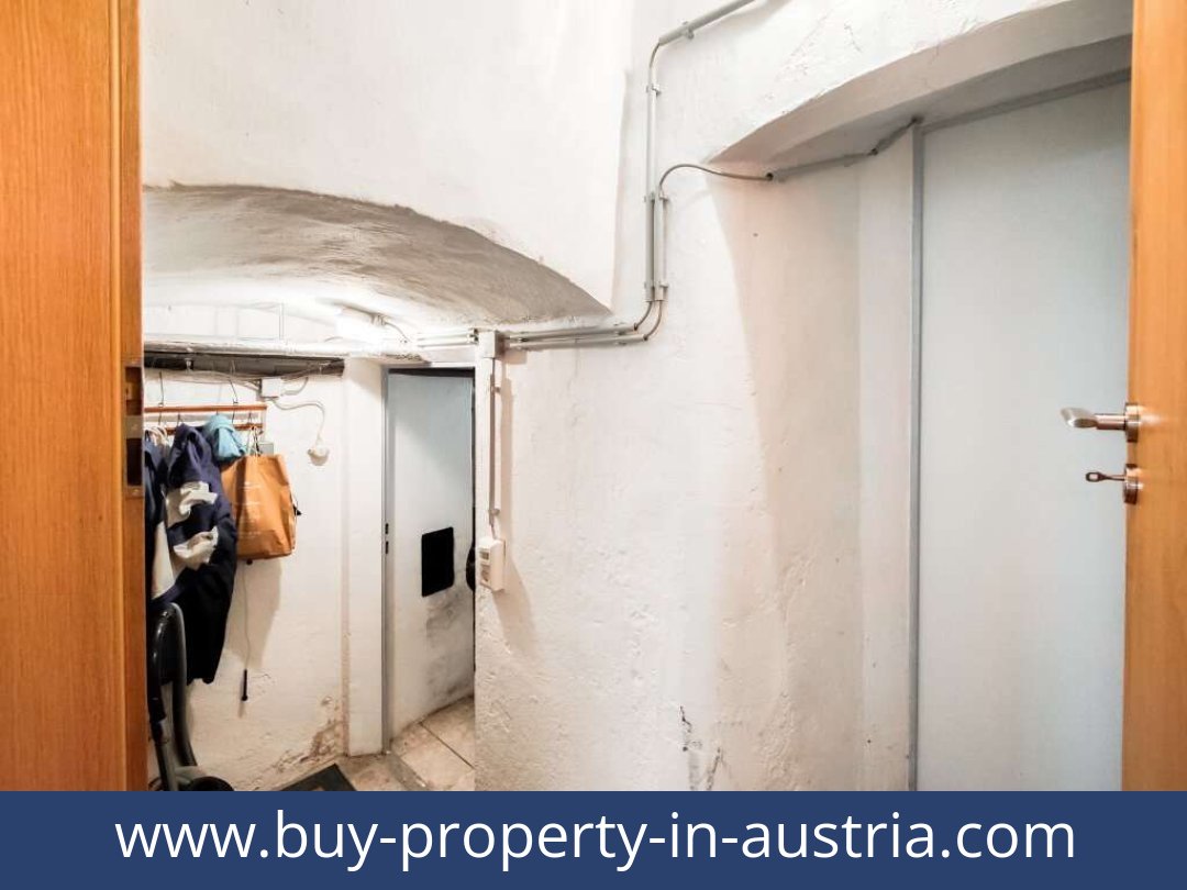 buy-property-in-austria-dellach-9635-20250916084808-0020701024.jpg