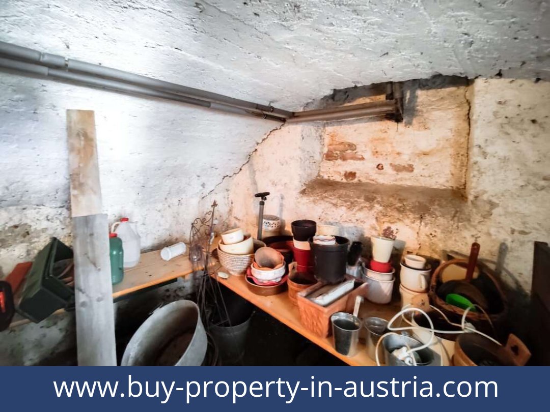 buy-property-in-austria-dellach-9635-20250916084808-0020701025.jpg