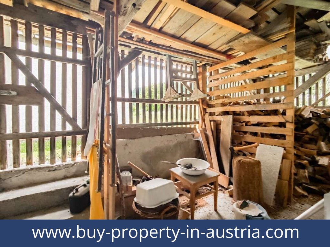 buy-property-in-austria-dellach-9635-20250916084808-0020701026.jpg