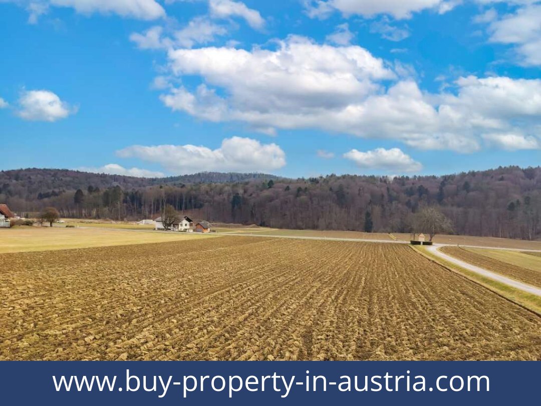 buy-property-in-austria-feldbach-8330-20250916191754-0025001020.jpg