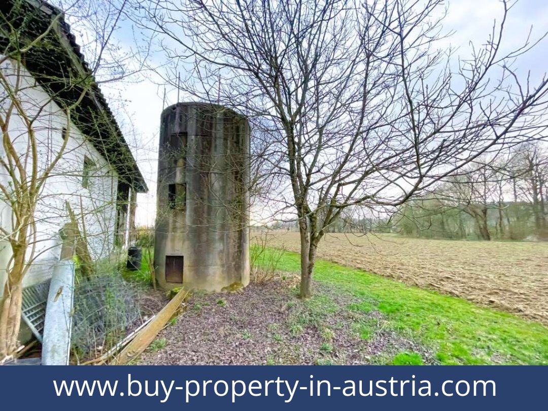 buy-property-in-austria-gerbersdorf-8413-20251014200131-0013901031.jpg buy-property-in-austria-gerbersdorf-8413-20251014200131-0013901031.jpg