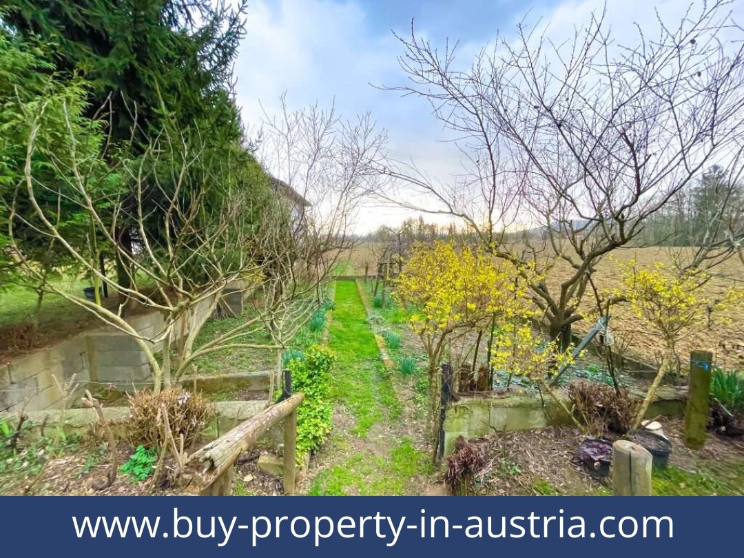 buy-property-in-austria-gerbersdorf-8413-20251014200131-0013901032.jpg buy-property-in-austria-gerbersdorf-8413-20251014200131-0013901032.jpg