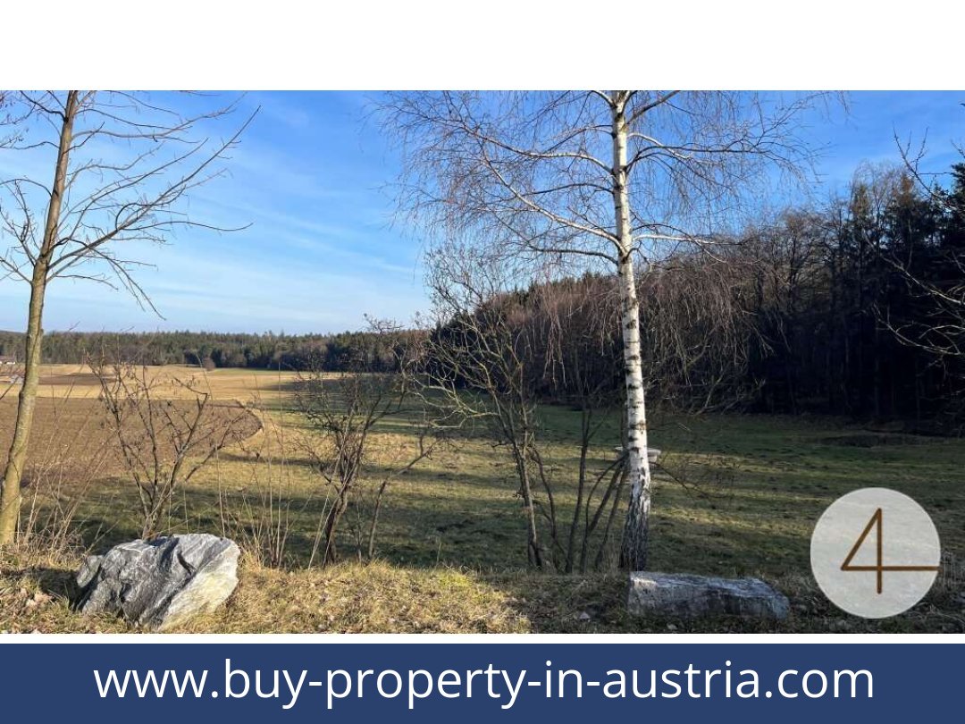 buy-property-in-austria-gfoll-3542-20250911181733-0007501010.jpg
