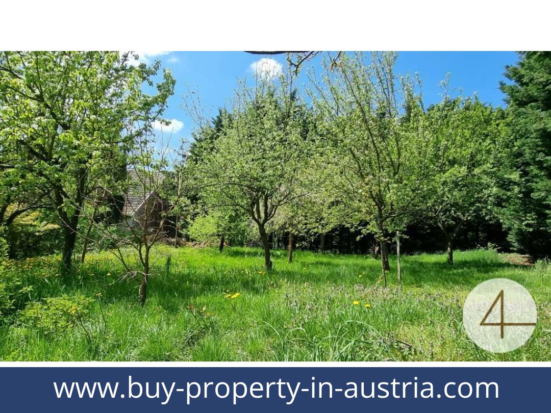 buy-property-in-austria-gopfritzschlag-3822-20250917044750-0028101003.jpg