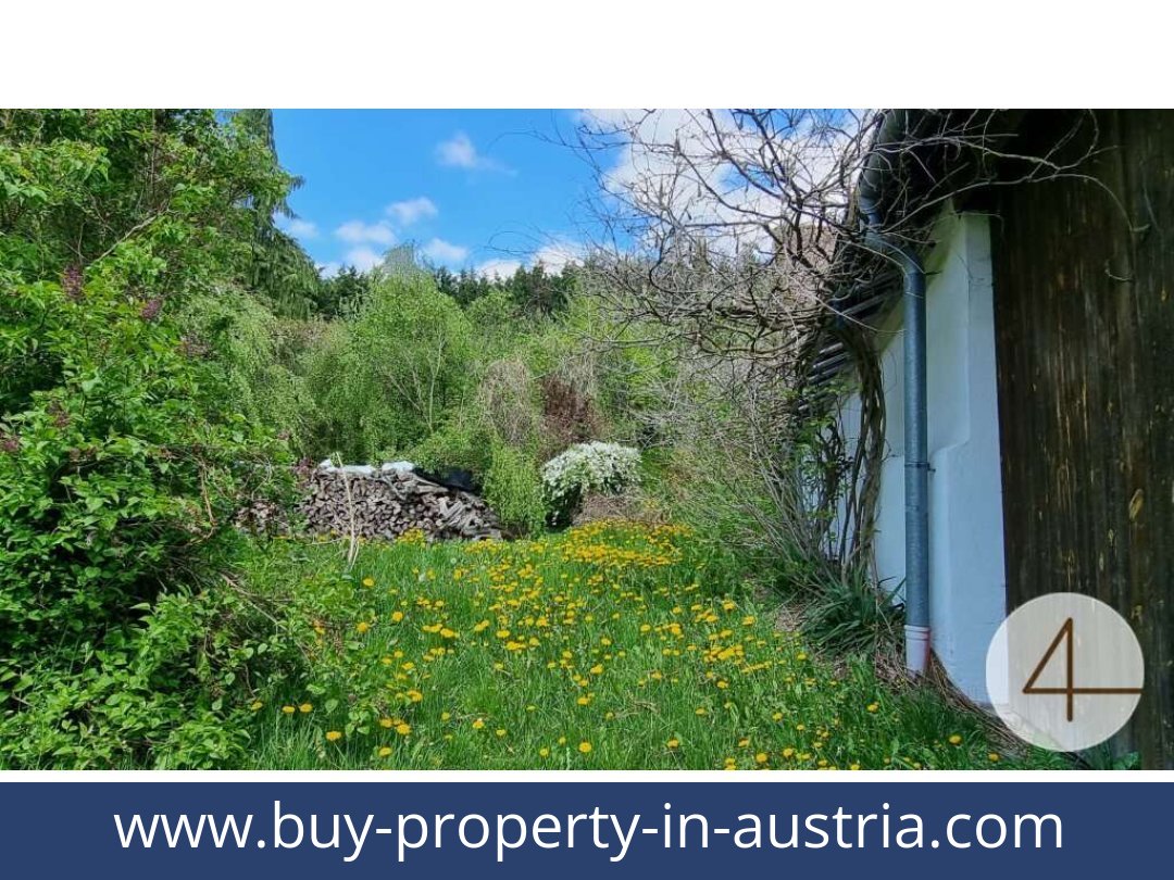 buy-property-in-austria-gopfritzschlag-3822-20250917044750-0028101029.jpg