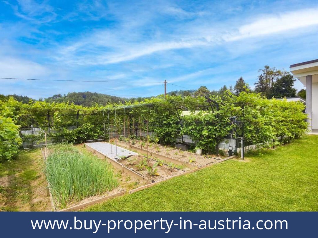 buy-property-in-austria-gratkorn-8101-20250916211759-0025801029.jpg