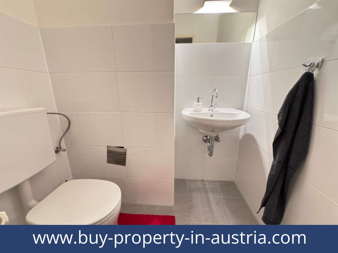 buy-property-in-austria-graz-8010-20251011191908-0036201015.jpg