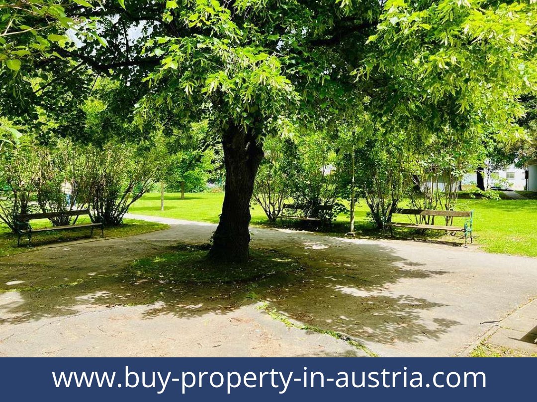 buy-property-in-austria-graz-8010-20251013211347-0017301013.jpg buy-property-in-austria-graz-8010-20251013211347-0017301013.jpg