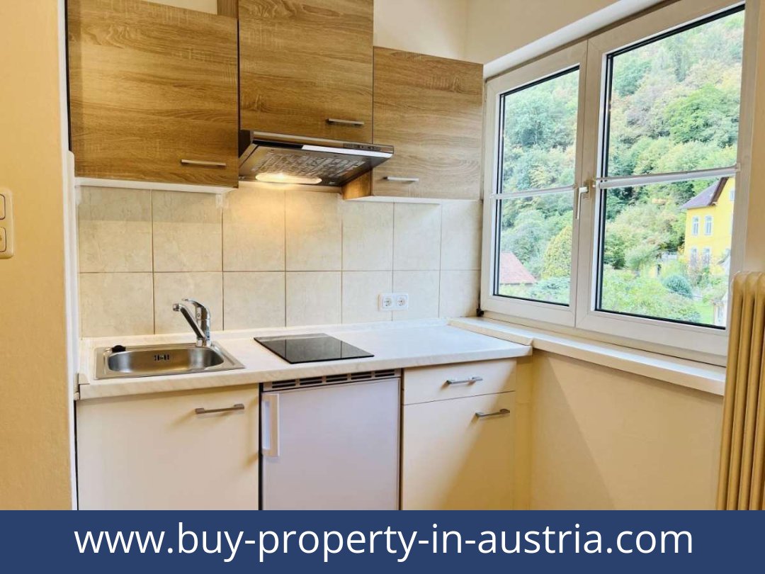 buy-property-in-austria-graz-8051-20251011074752-0034001005.jpg