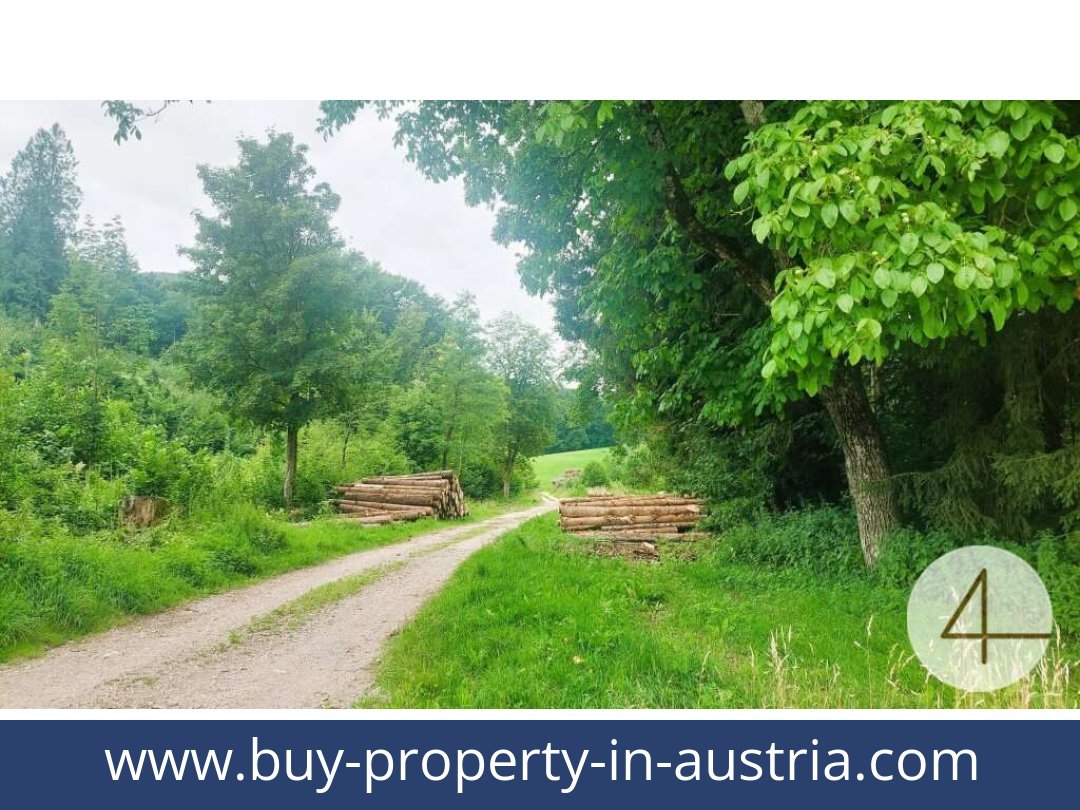 buy-property-in-austria-gresten-3264-20250915184736-0030501003.jpg