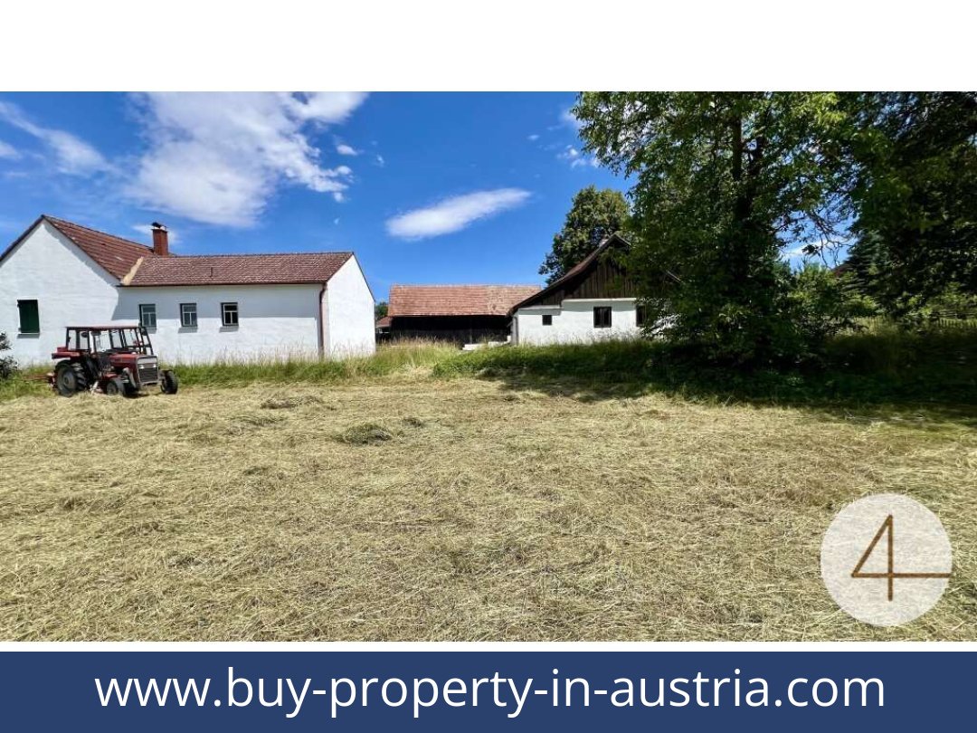 buy-property-in-austria-harth-3753-20260118094723-0058501001.jpg