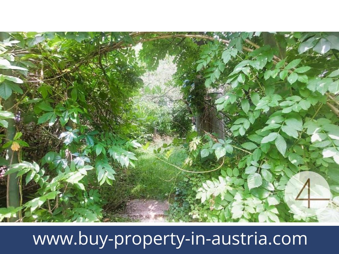 buy-property-in-austria-heidenreichstein-3860-20250916104759-0021701008.jpg