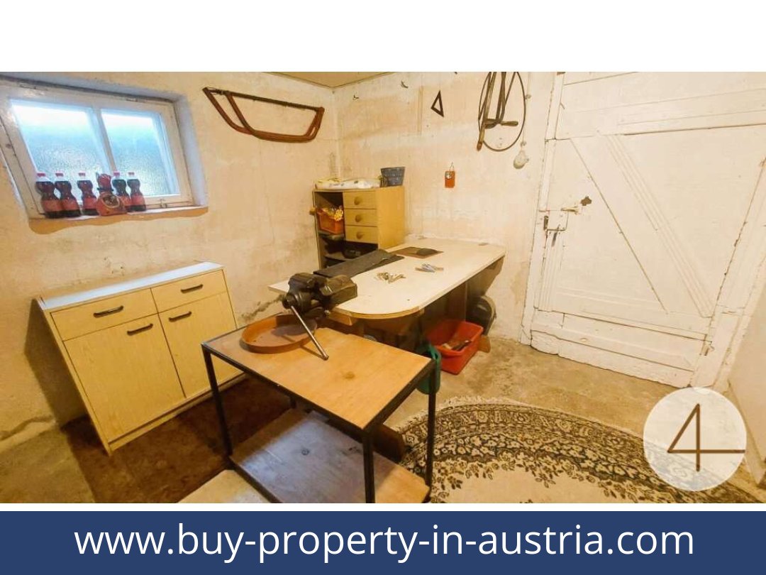 buy-property-in-austria-heidenreichstein-3860-20250916104759-0021701028.jpg