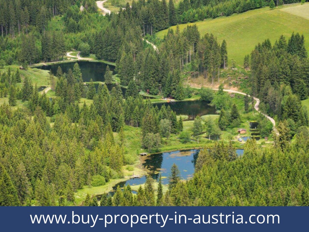 buy-property-in-austria-hohentauern-8785-20260118021725-0057011011.jpg