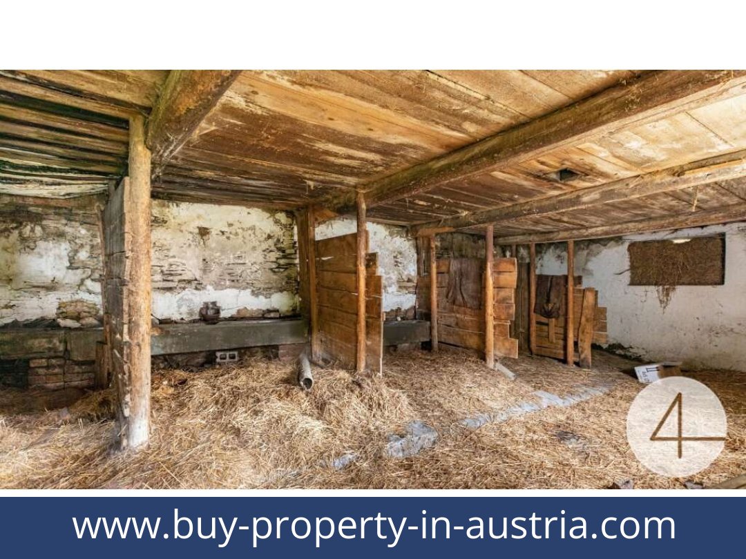 buy-property-in-austria-horn-3580-20250917024734-0027301004.jpg