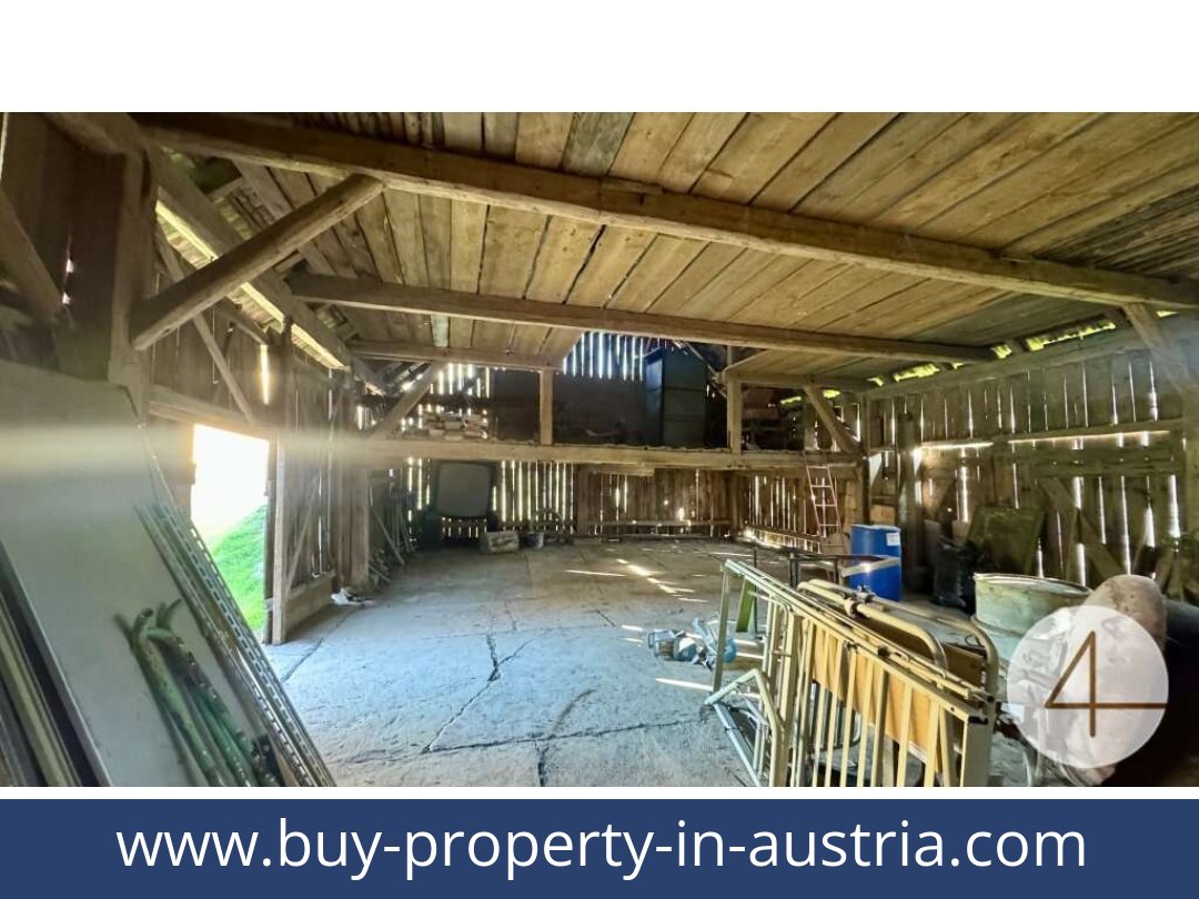 buy-property-in-austria-japons-3763-20251201054725-0042501003.jpg