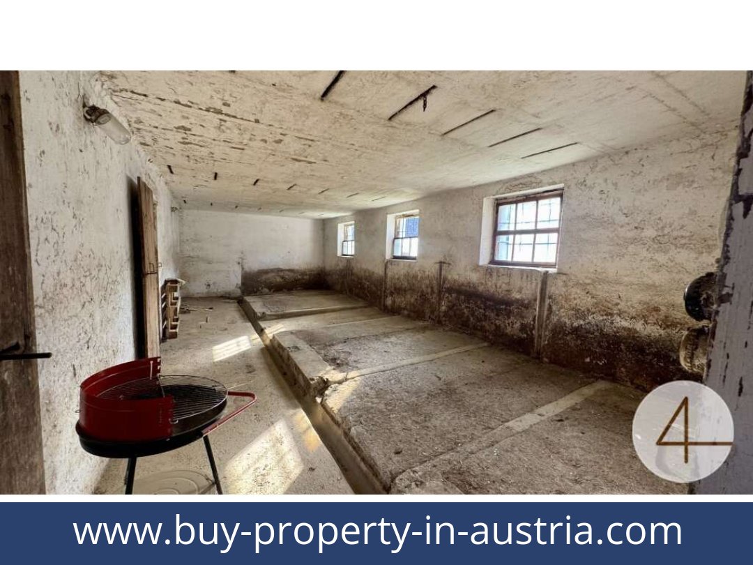 buy-property-in-austria-japons-3763-20251201054725-0042501004.jpg