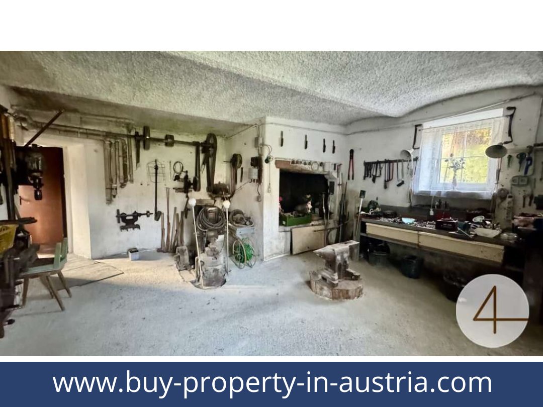 buy-property-in-austria-japons-3763-20251201054725-0042501012.jpg