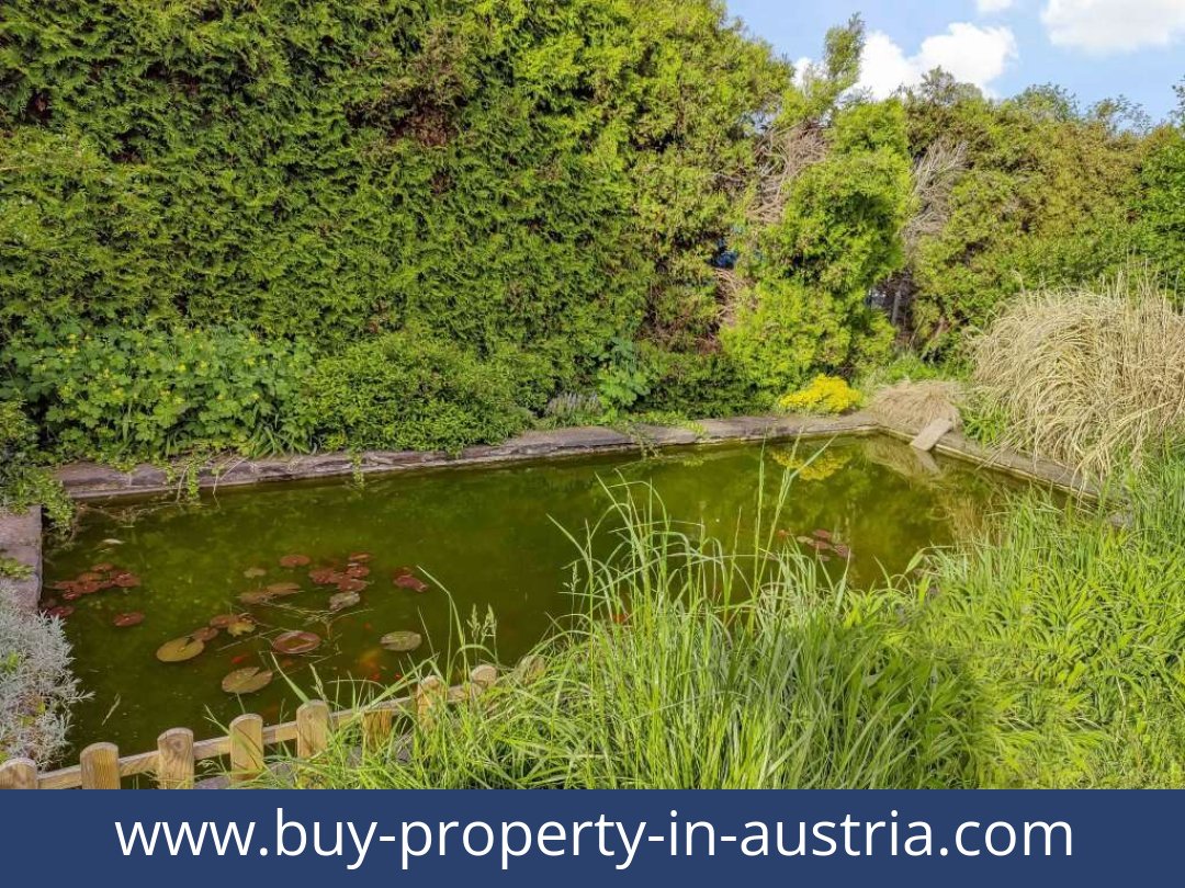 buy-property-in-austria-kapfenberg-8605-20250916174835-0024701019.jpg