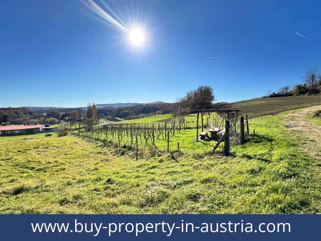buy-property-in-austria-kapfenstein-8353-20251202144801-0046301004.jpg
