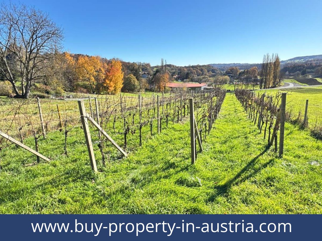 buy-property-in-austria-kapfenstein-8353-20251202144801-0046301023.jpg