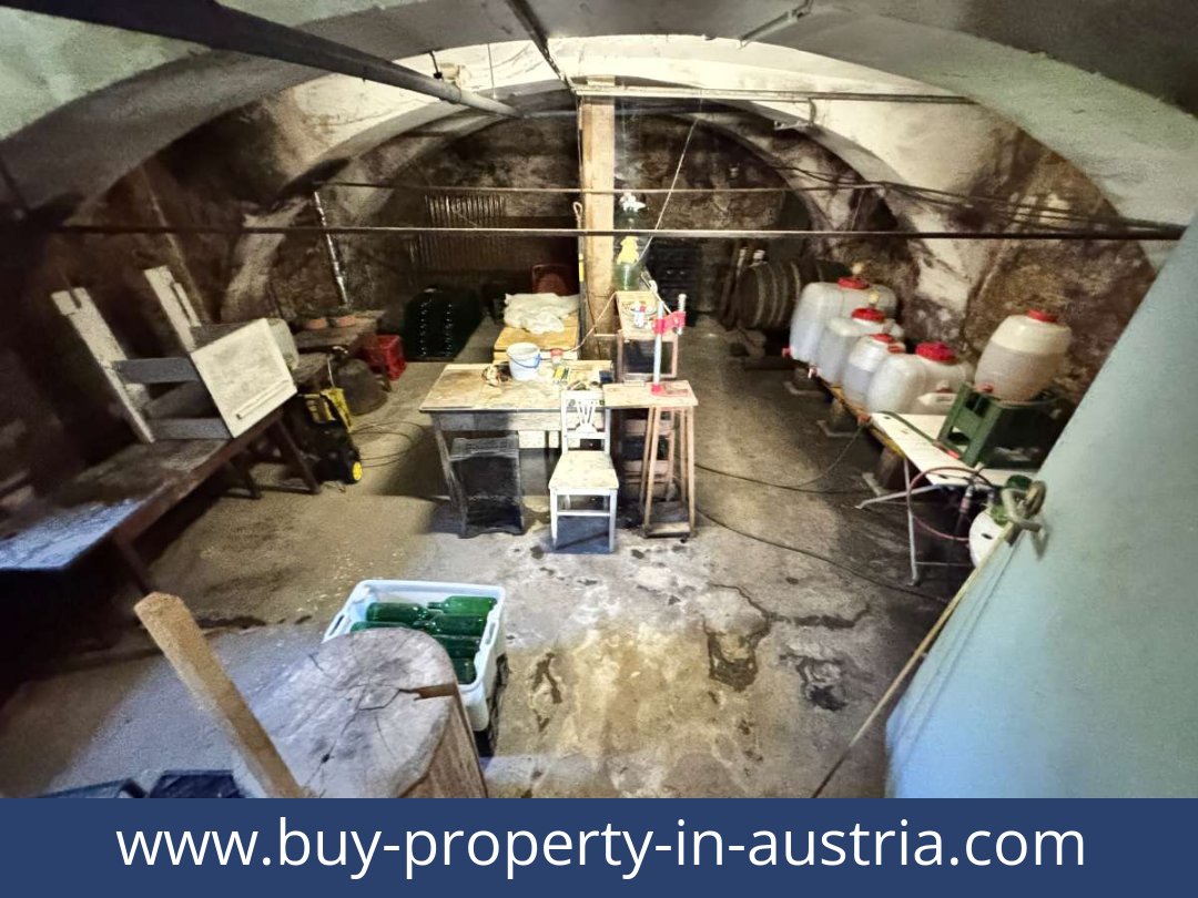 buy-property-in-austria-kapfenstein-8353-20251202144801-0046301035.jpg