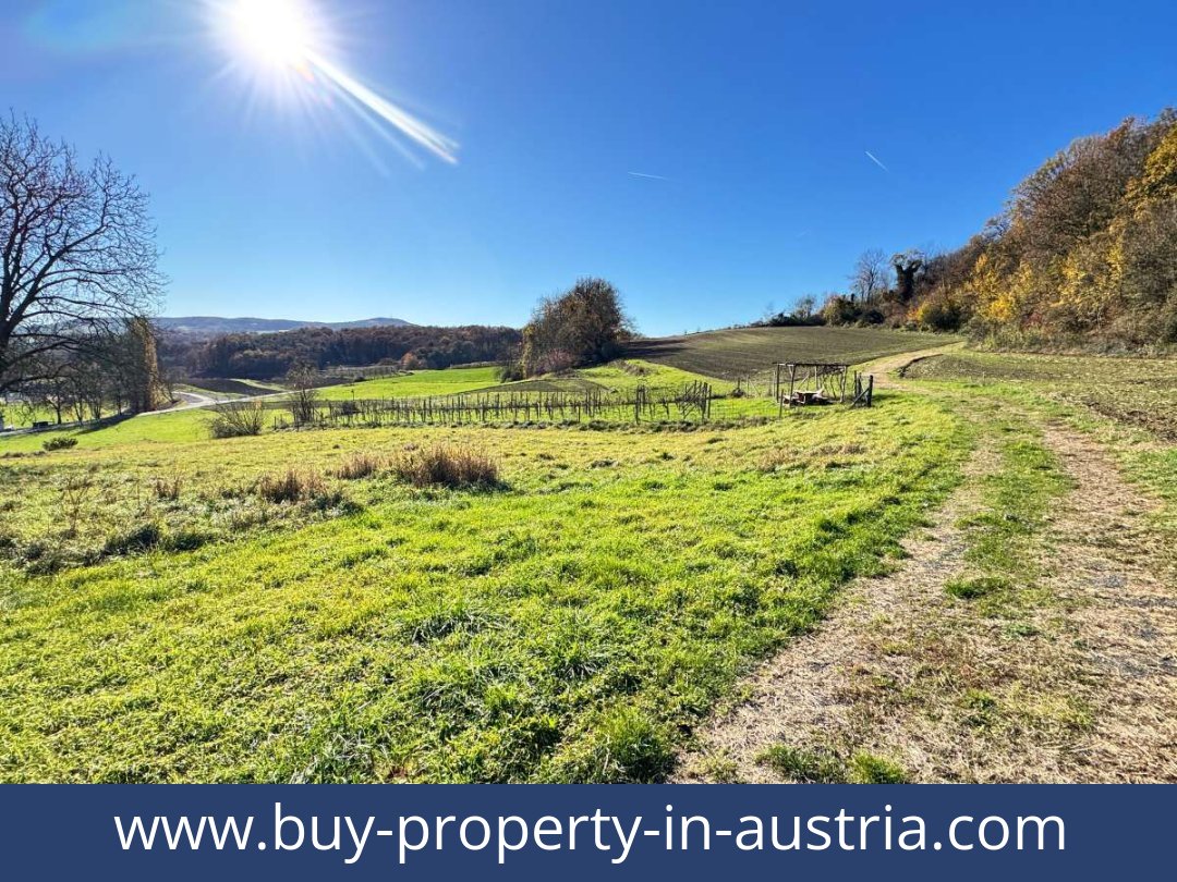 buy-property-in-austria-kapfenstein-8353-20251202144801-0046301038.jpg