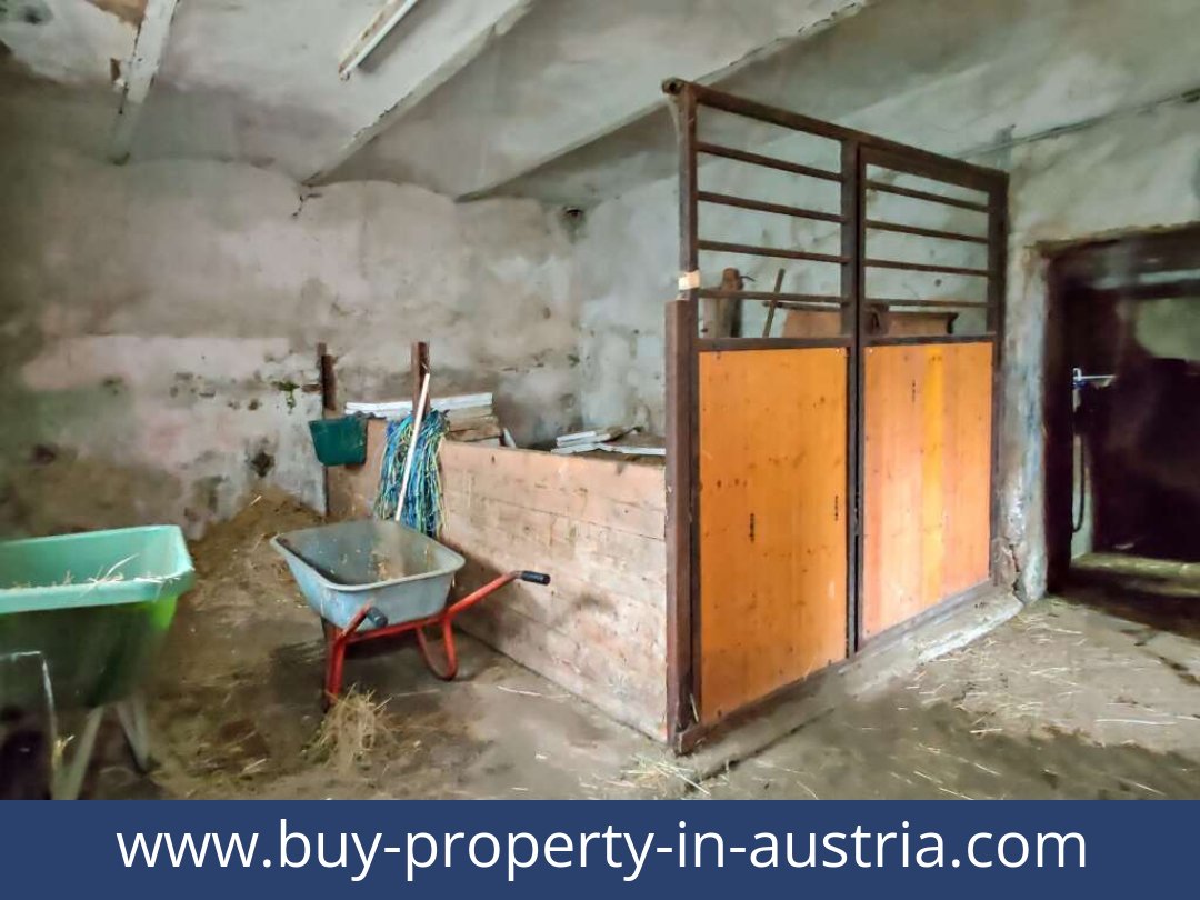 buy-property-in-austria-lambach-4650-20250916164811-0024501022.jpg