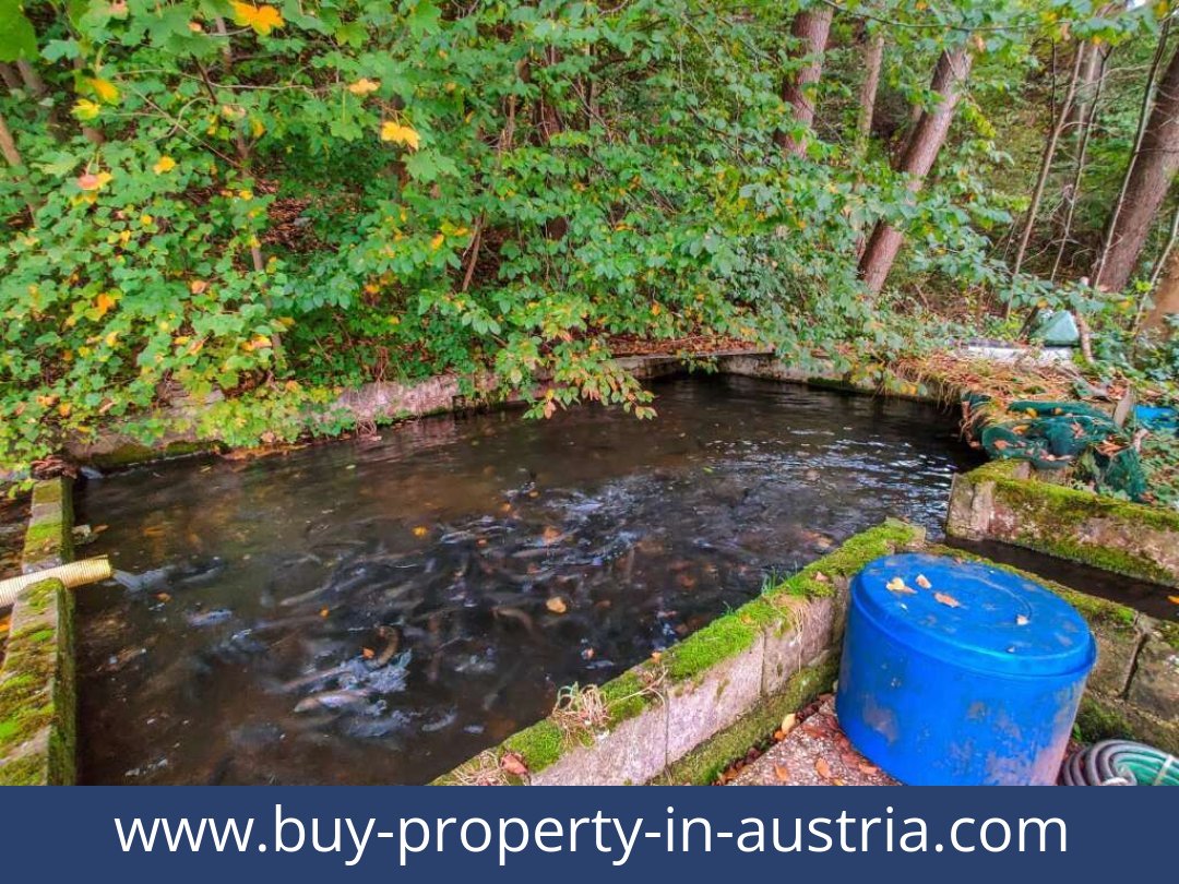 buy-property-in-austria-lambach-4650-20250916201814-0025301022.jpg