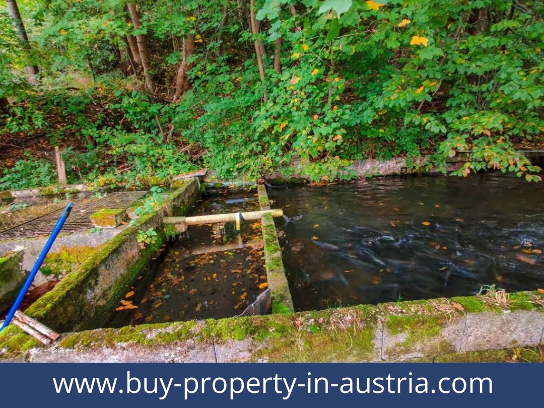 buy-property-in-austria-lambach-4650-20250916201814-0025301023.jpg