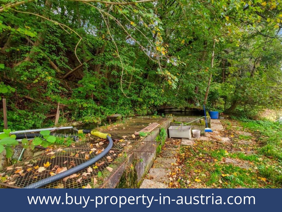 buy-property-in-austria-lambach-4650-20250916201814-0025301024.jpg