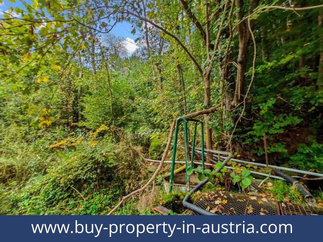 buy-property-in-austria-lambach-4650-20250916201814-0025301025.jpg