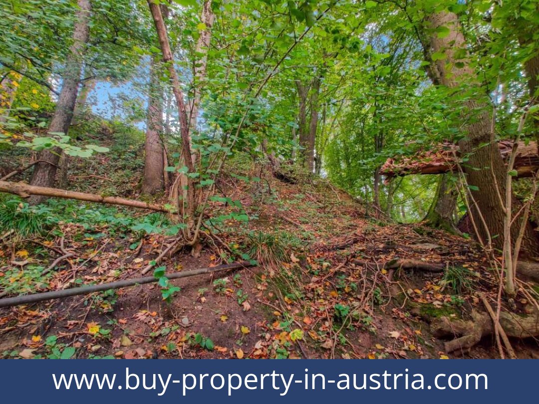 buy-property-in-austria-lambach-4650-20250916201814-0025301026.jpg