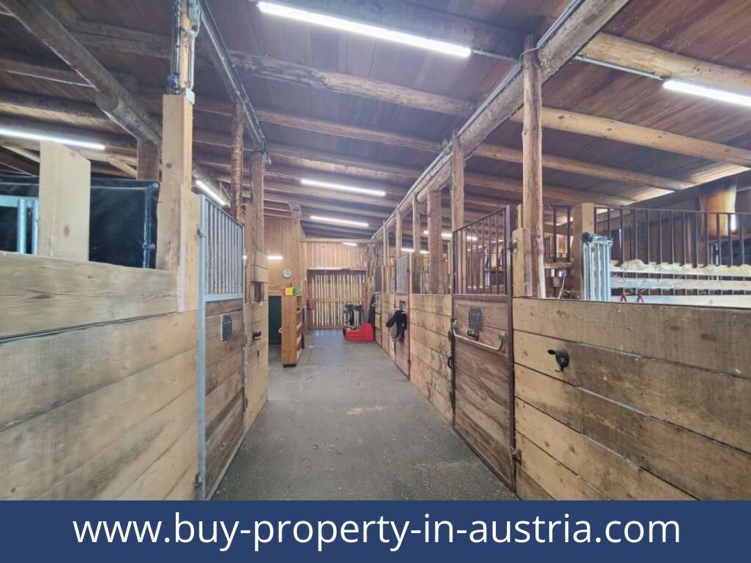 buy-property-in-austria-lambach-8323-20260118041734-0057401017.jpg
