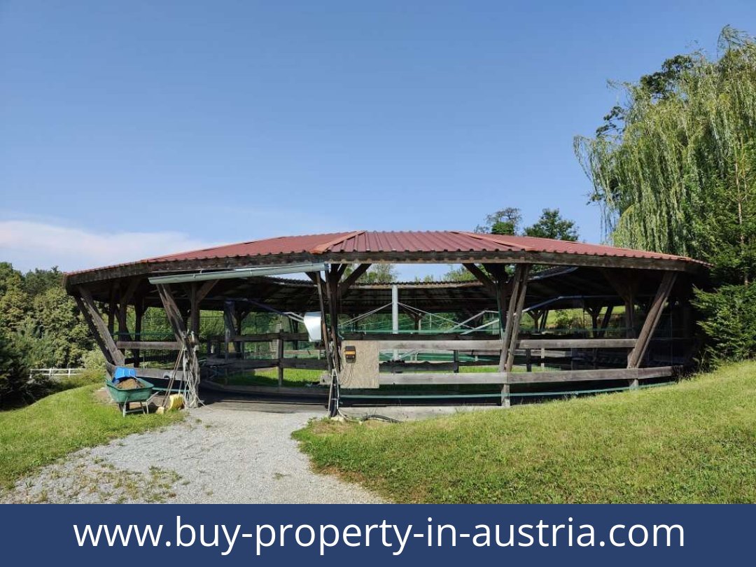 buy-property-in-austria-lambach-8323-20260118041734-0057401018.jpg