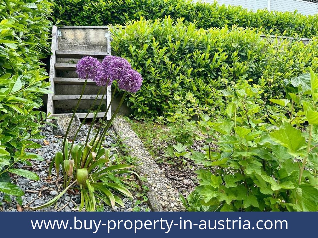 buy-property-in-austria-lassnitzhohe-8301-20250916131822-0023701044.jpg