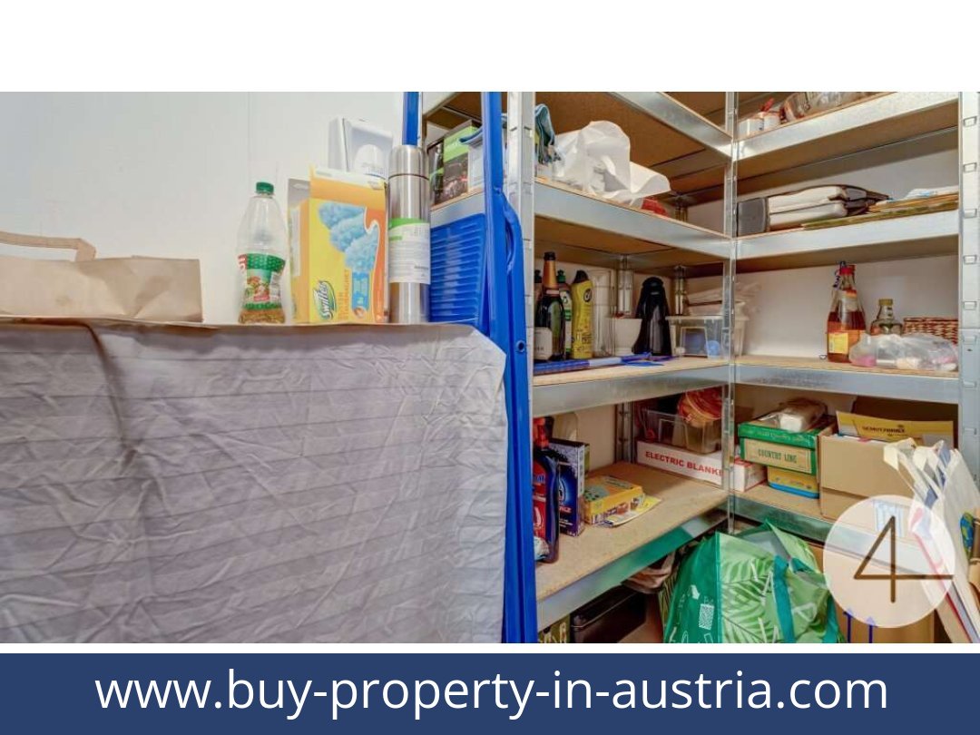 buy-property-in-austria-laxenburg-2361-20250914164750-0029601019.jpg