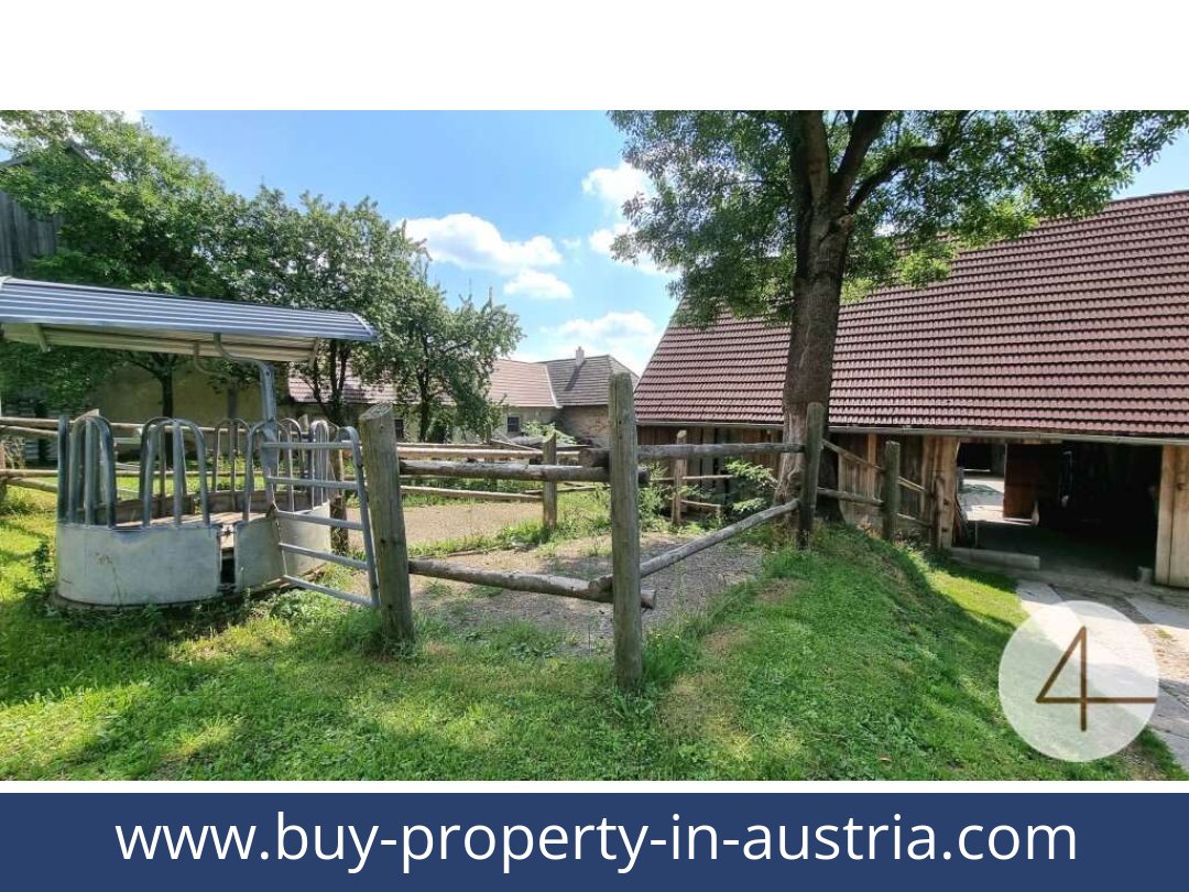 buy-property-in-austria-lichtenberg-3841-20250912041723-0011701002.jpg